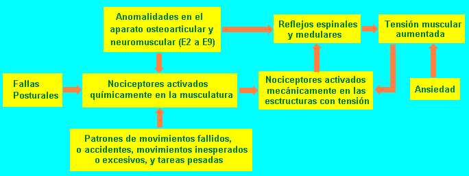 fisiopat.jpg (22504 bytes)